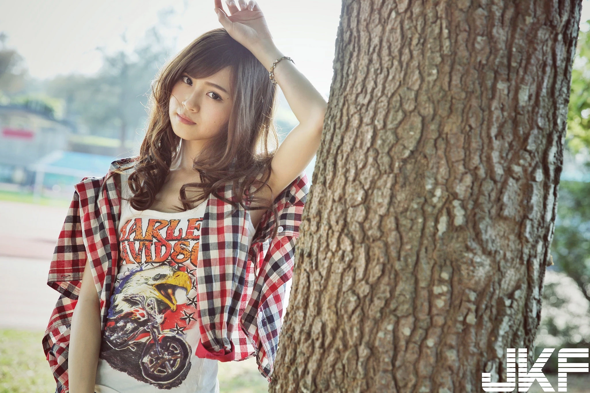 16843693.webp