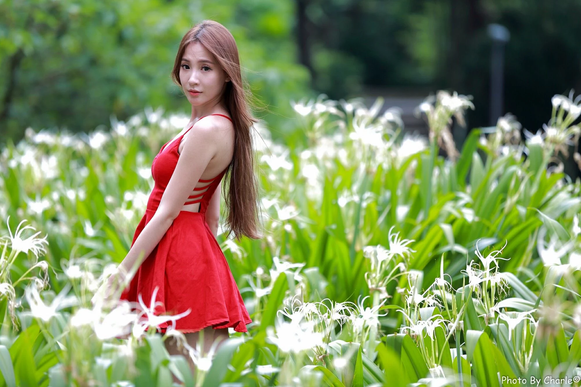 4444145.webp