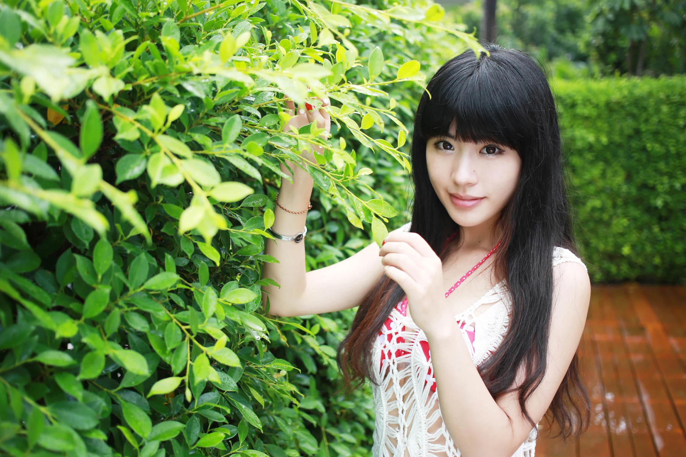 4039382.webp