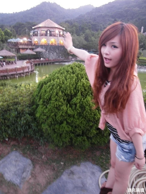 17538003.webp