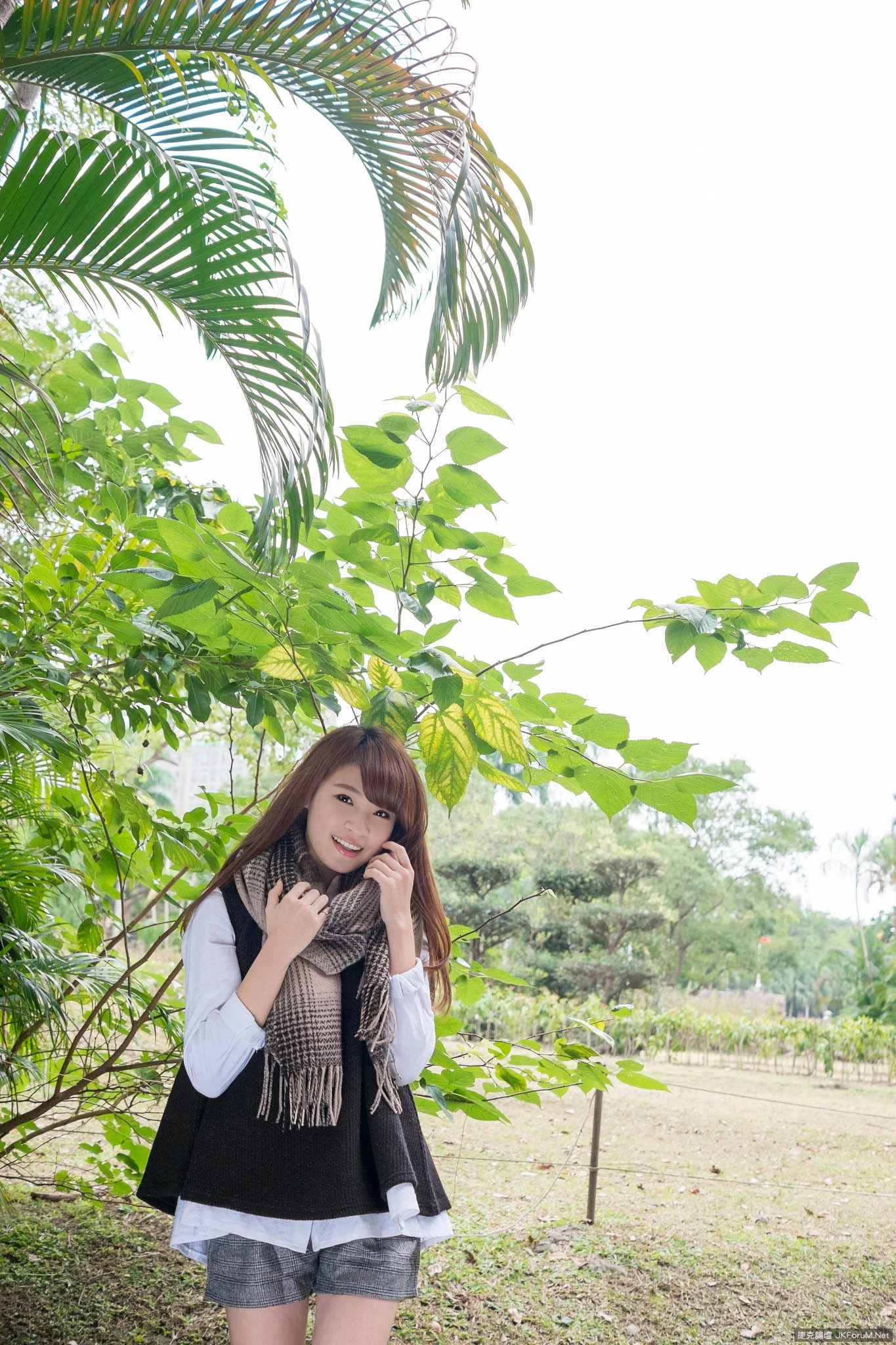 17087020.webp