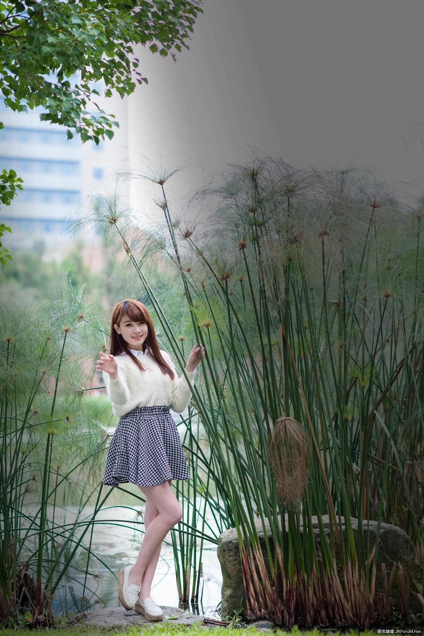 17087049.webp