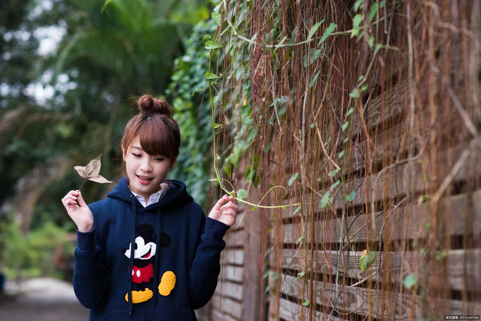 17087079.webp