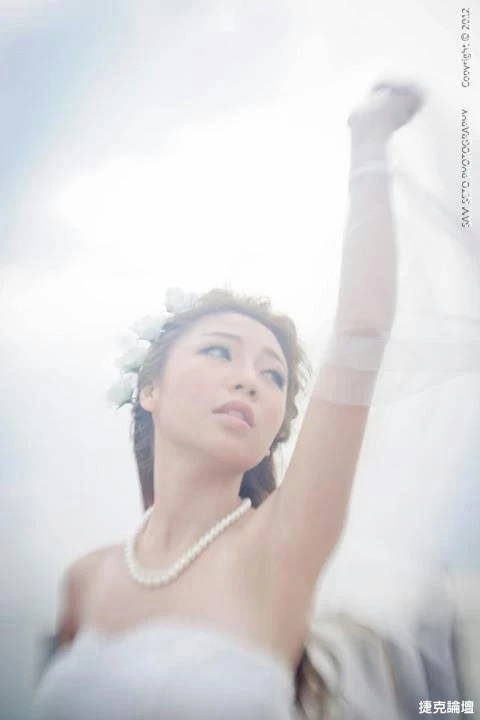 17312633.webp