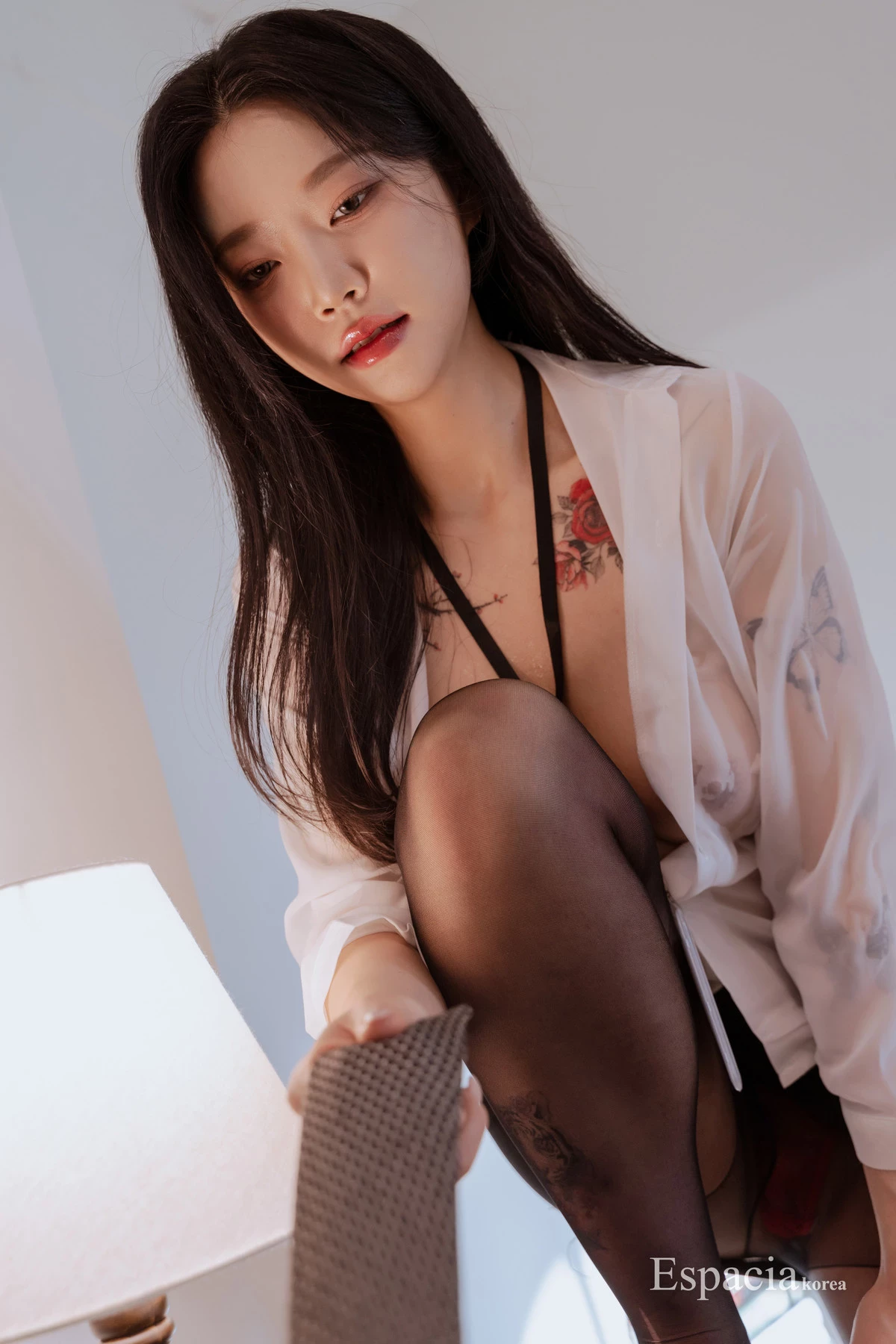 28495629.webp