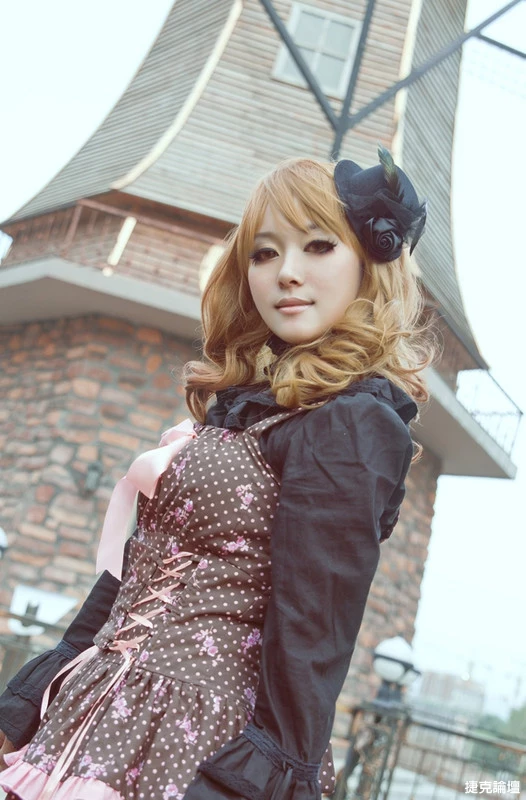 17422229.webp