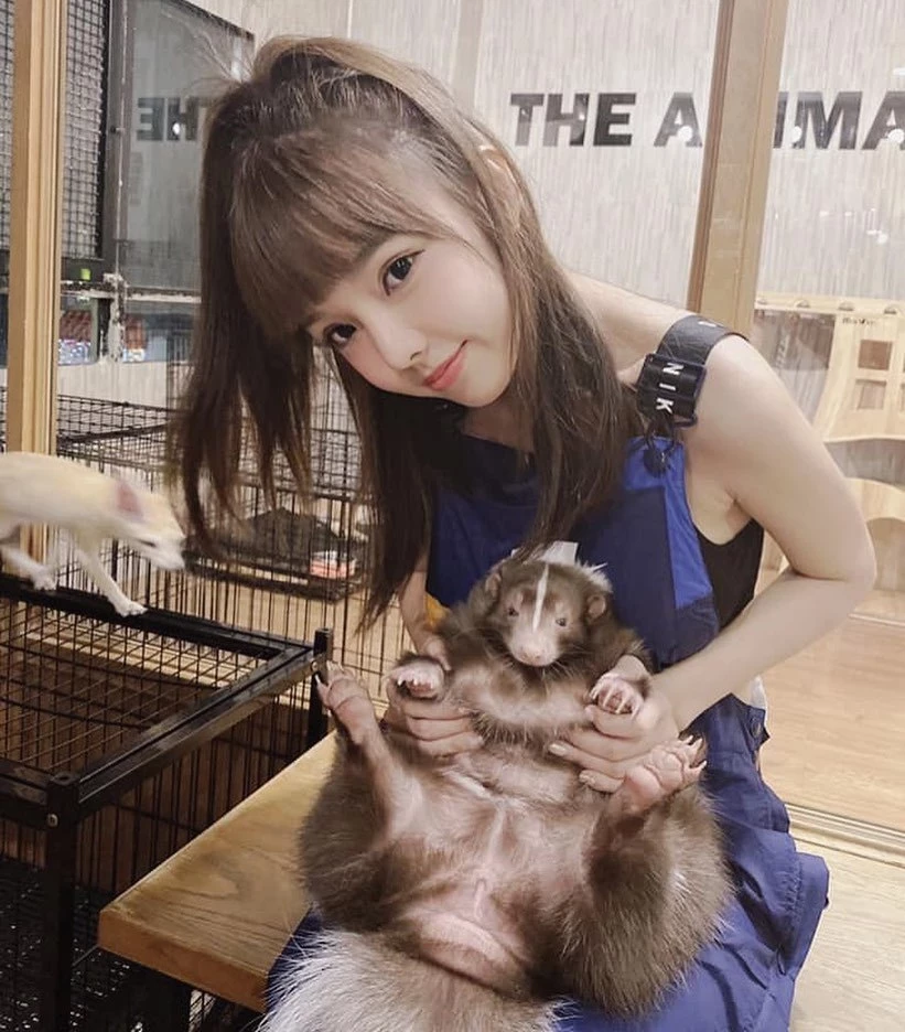 1765912.webp