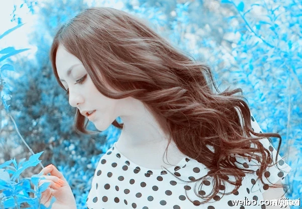 17299281.webp