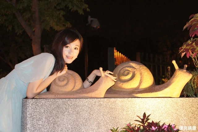 17538104.webp