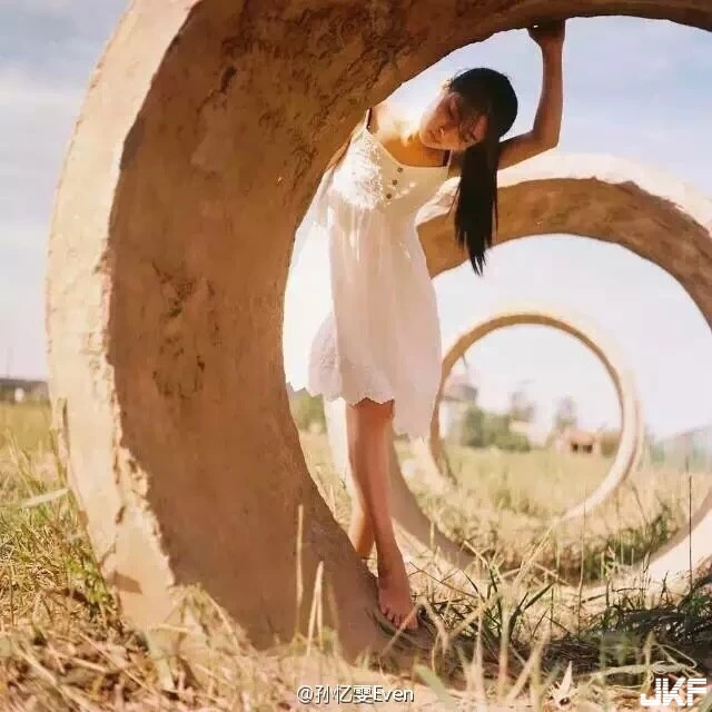16866213.webp