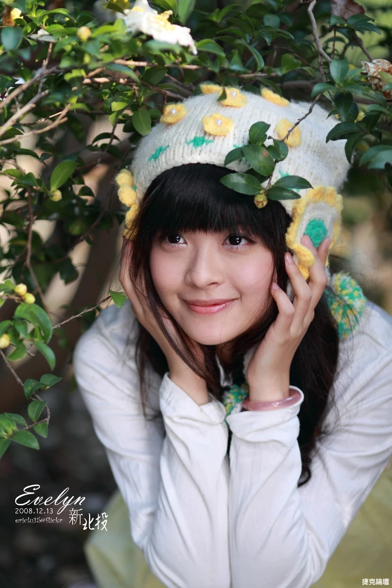 17516392.webp