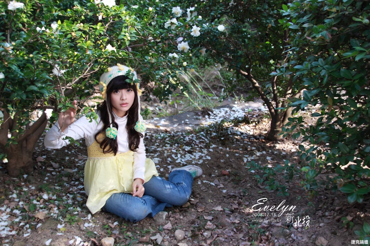 17516393.webp
