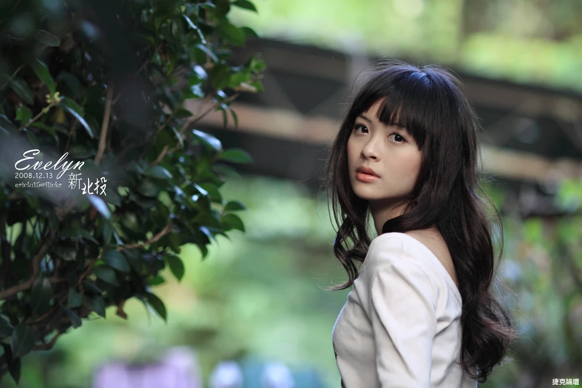 17516415.webp