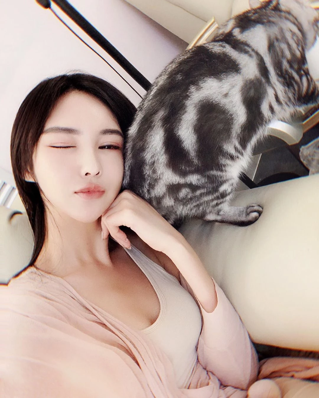 4099603.webp