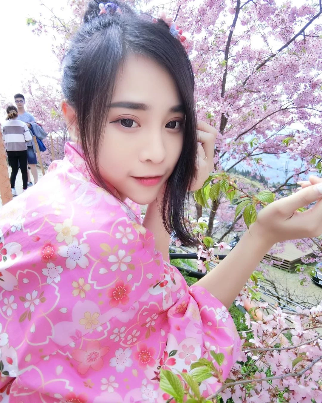 4094815.webp
