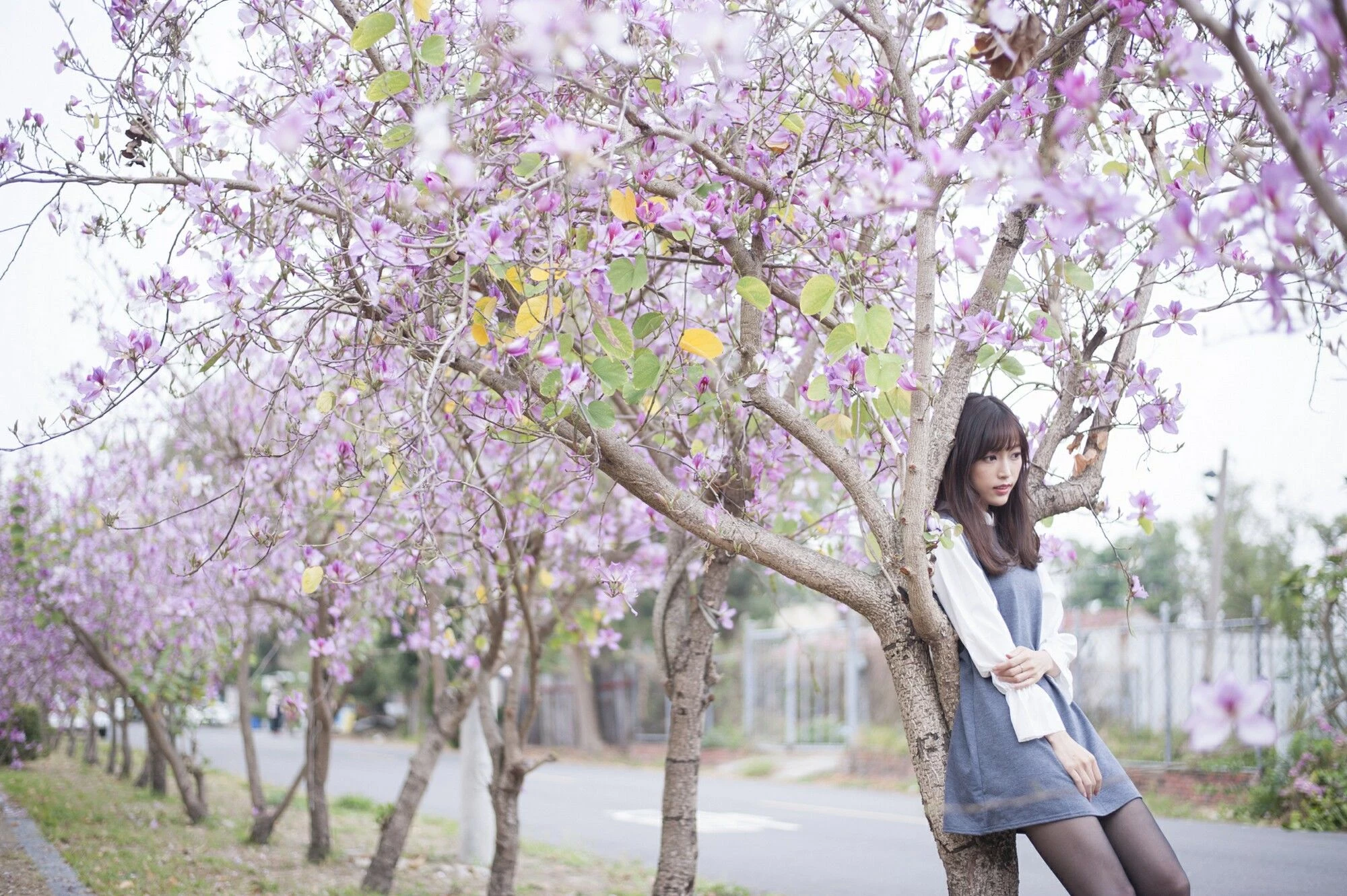 4407470.webp