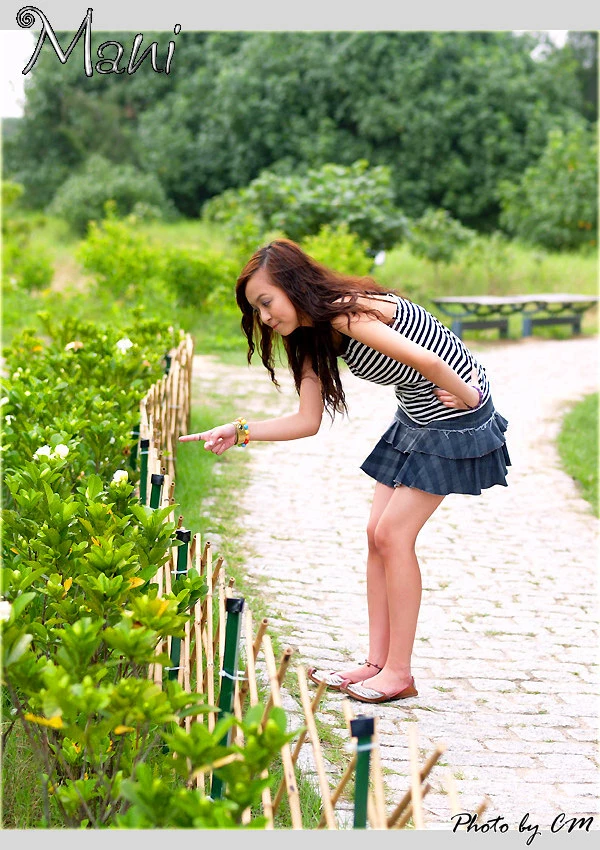 17650060.webp