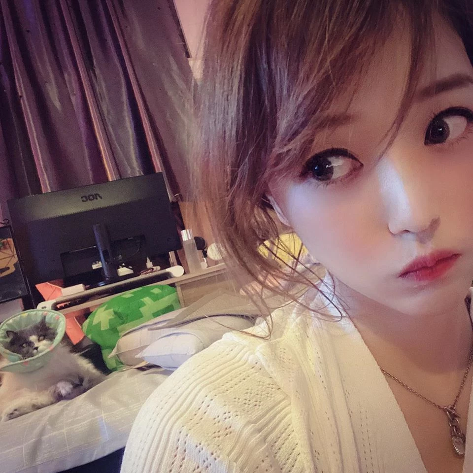 4064095.webp