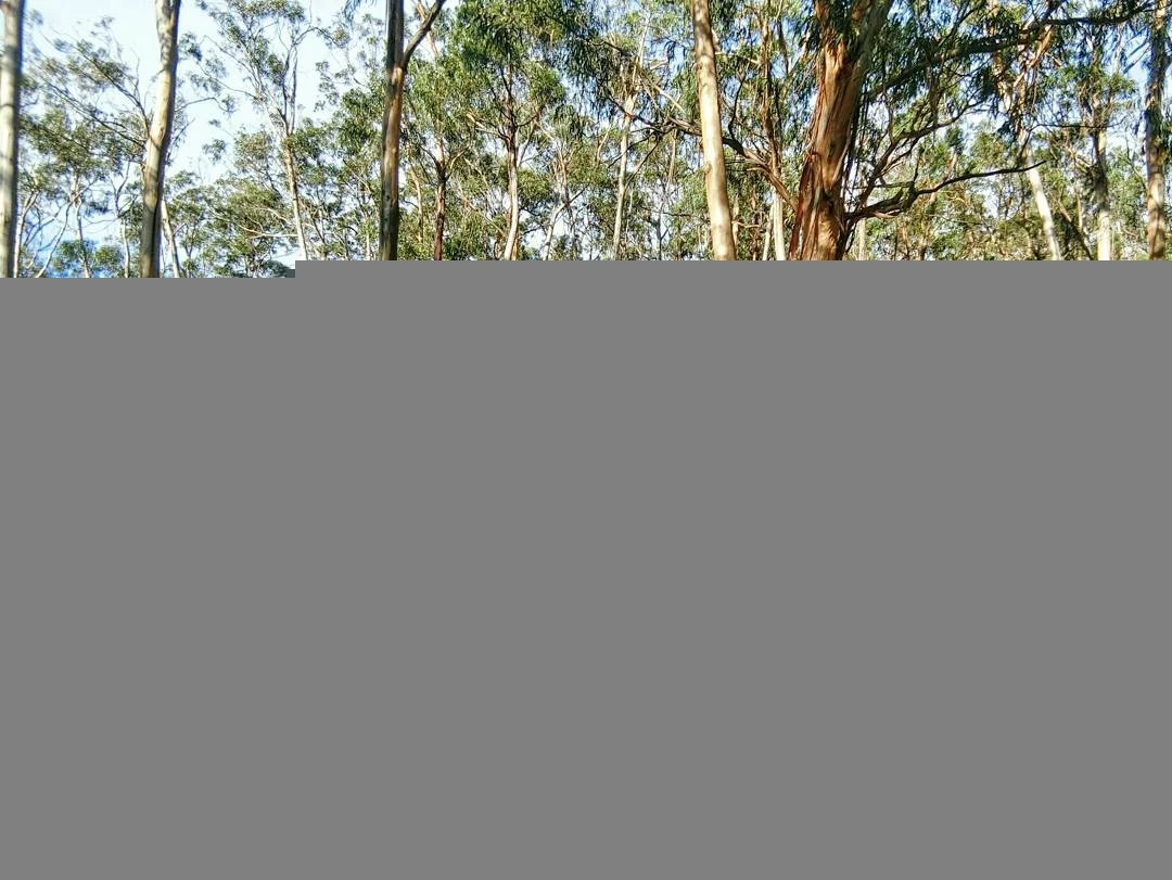 16818540.webp