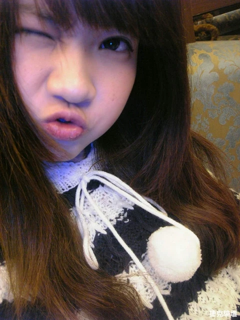 17350695.webp