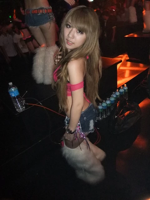 17731213.webp