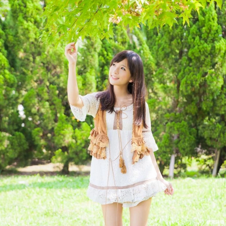 17355717.webp