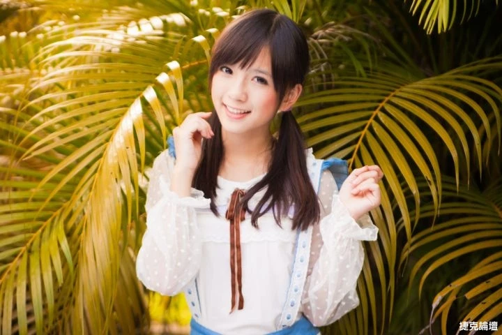 17355730.webp