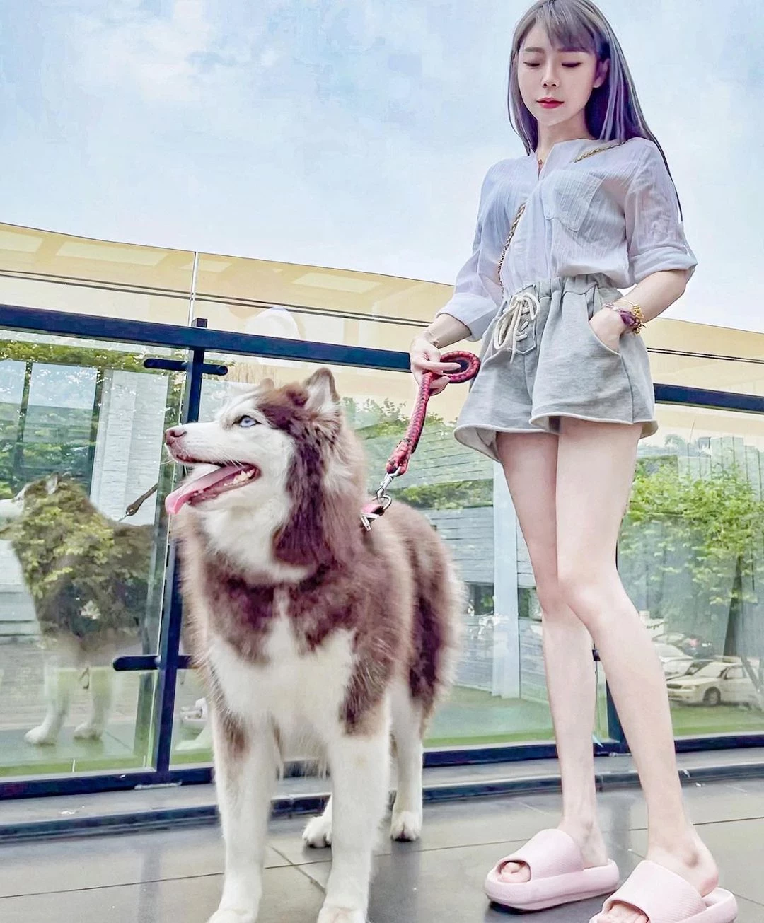 19358627.webp
