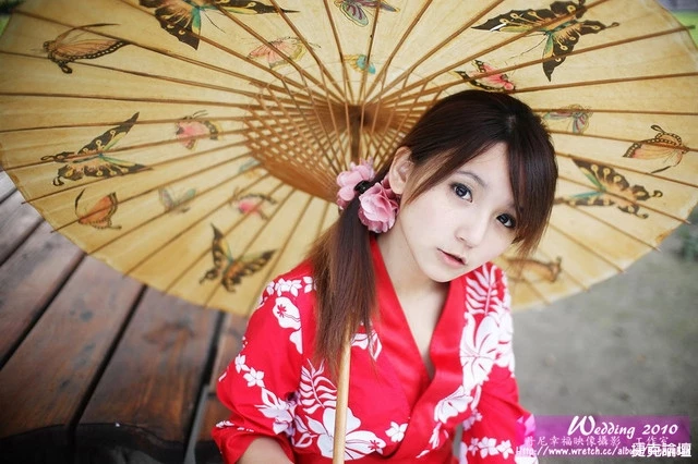 17269374.webp