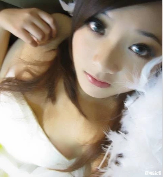 17411597.webp