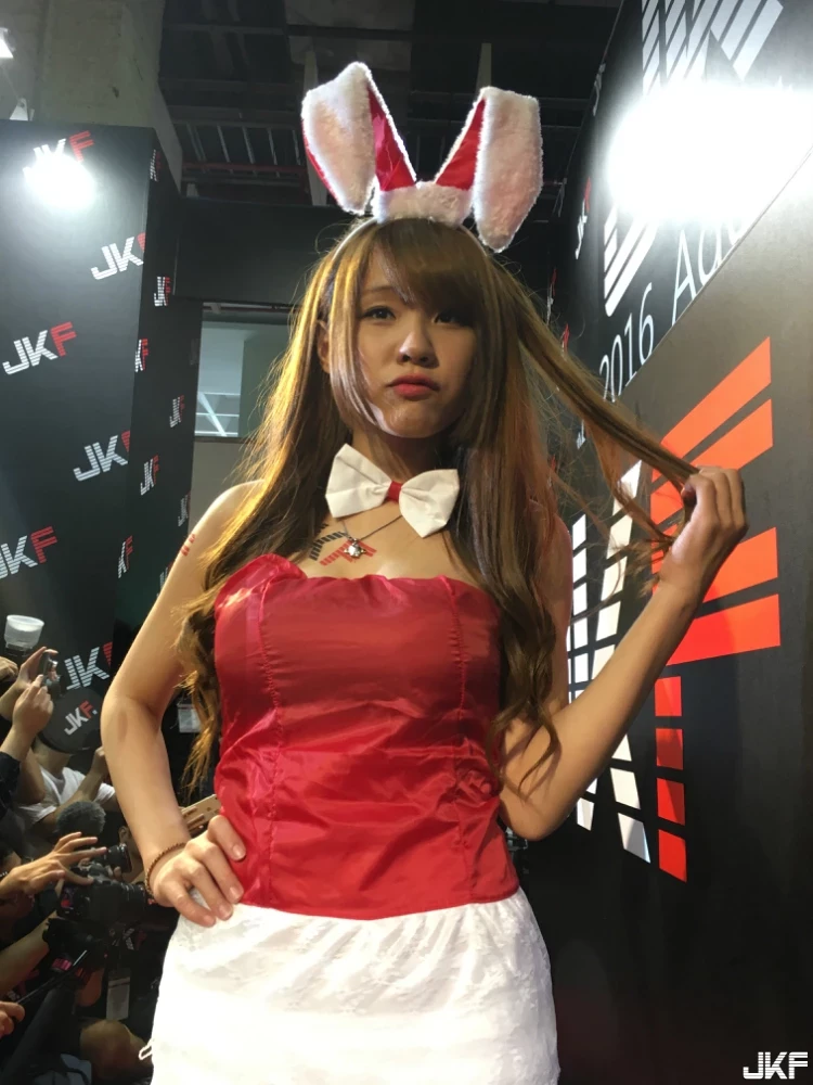 16881319.webp