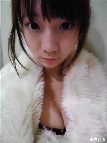 17553701.webp