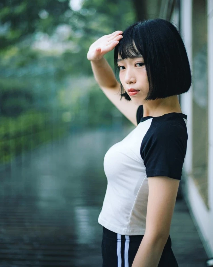 4084821.webp