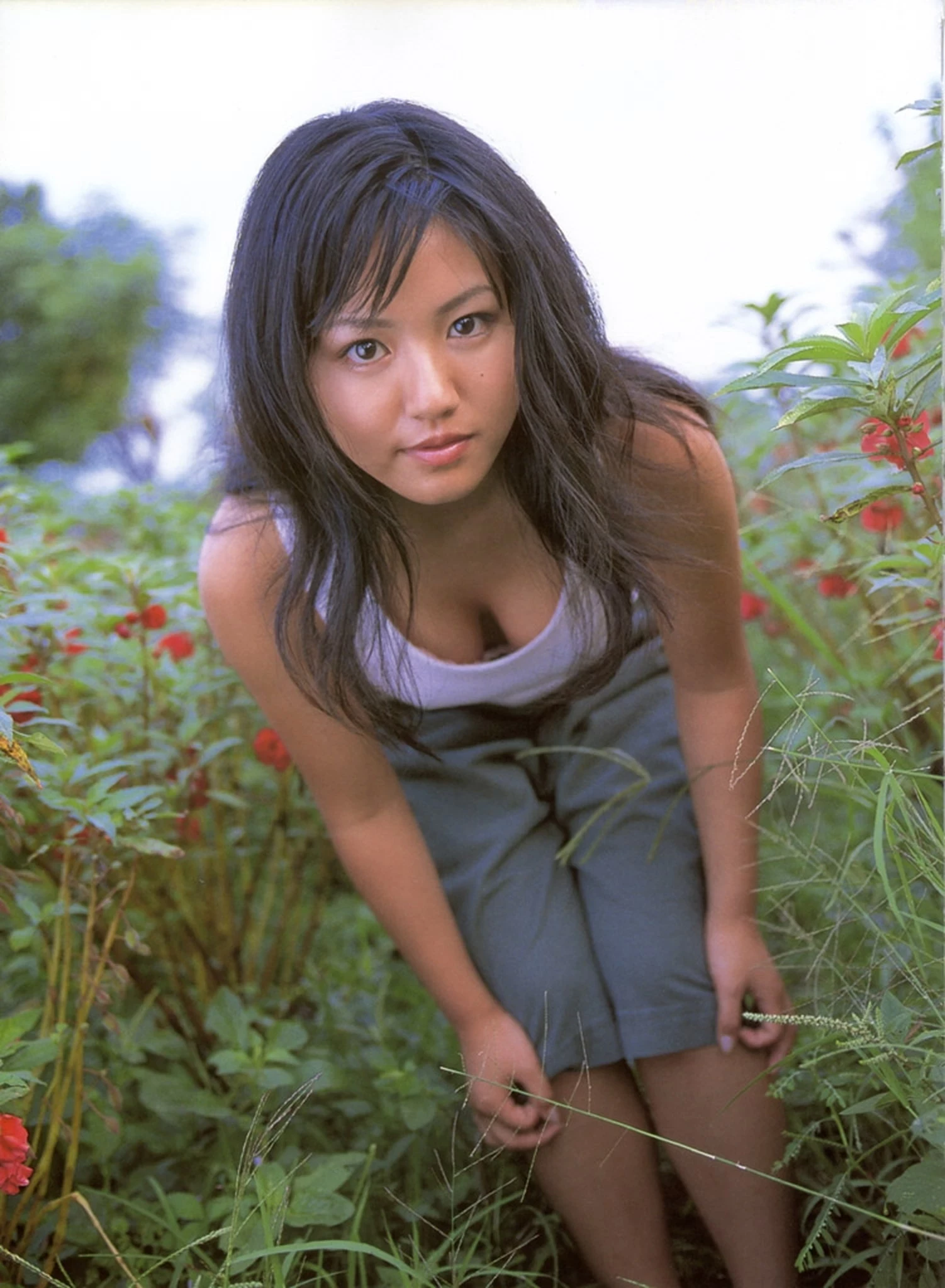 28471975.webp