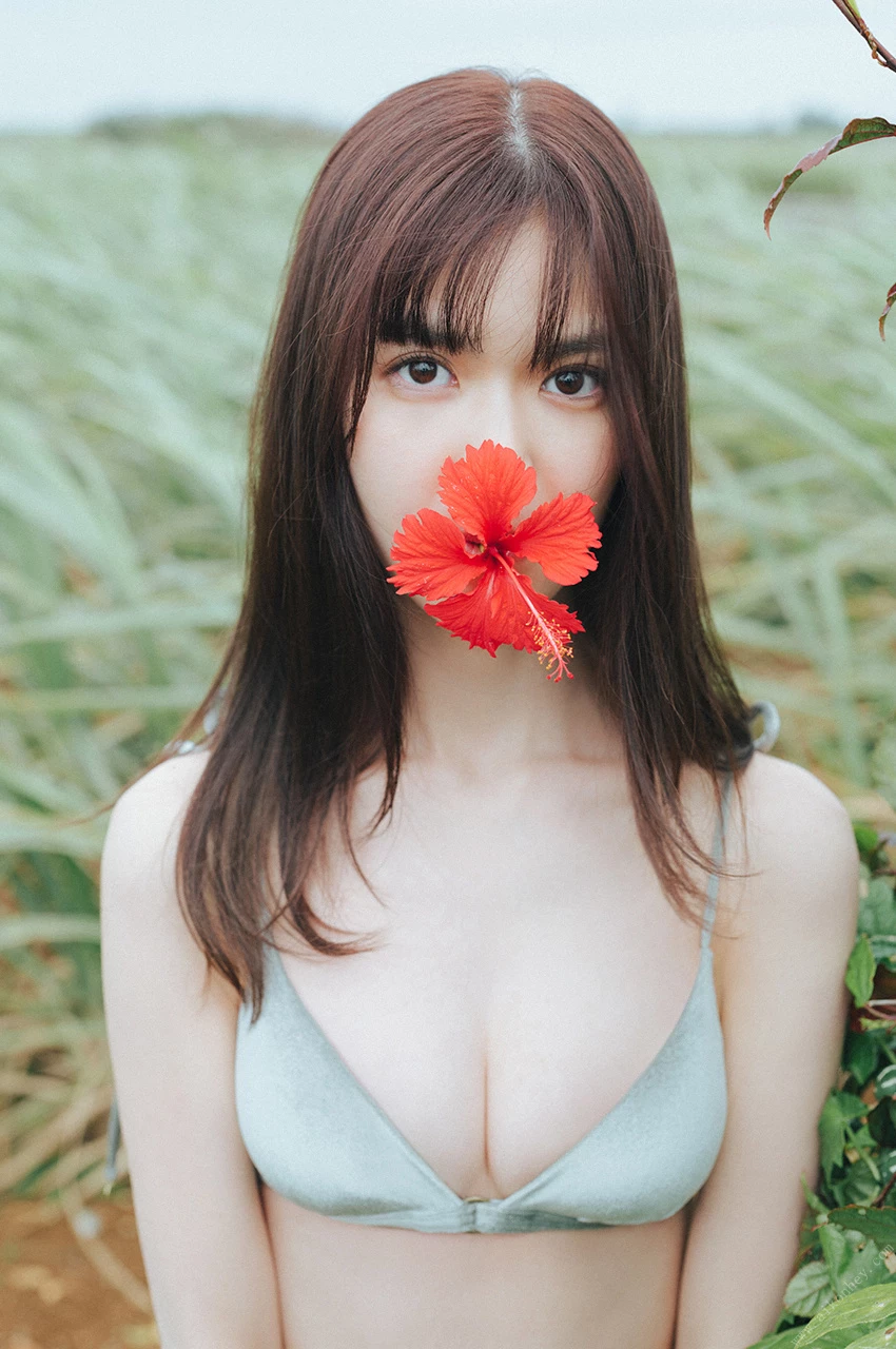 28471888.webp