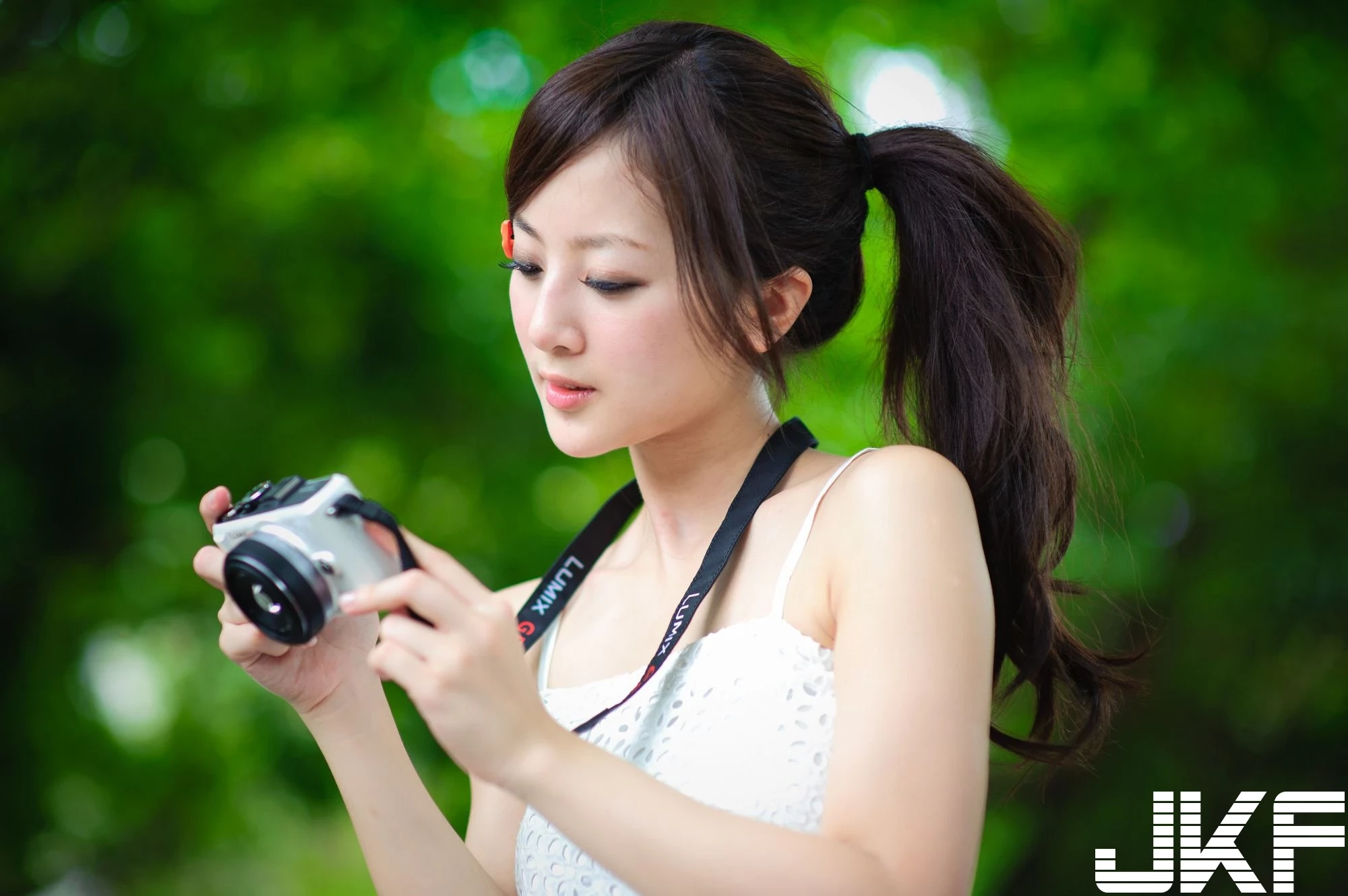 4602095.webp
