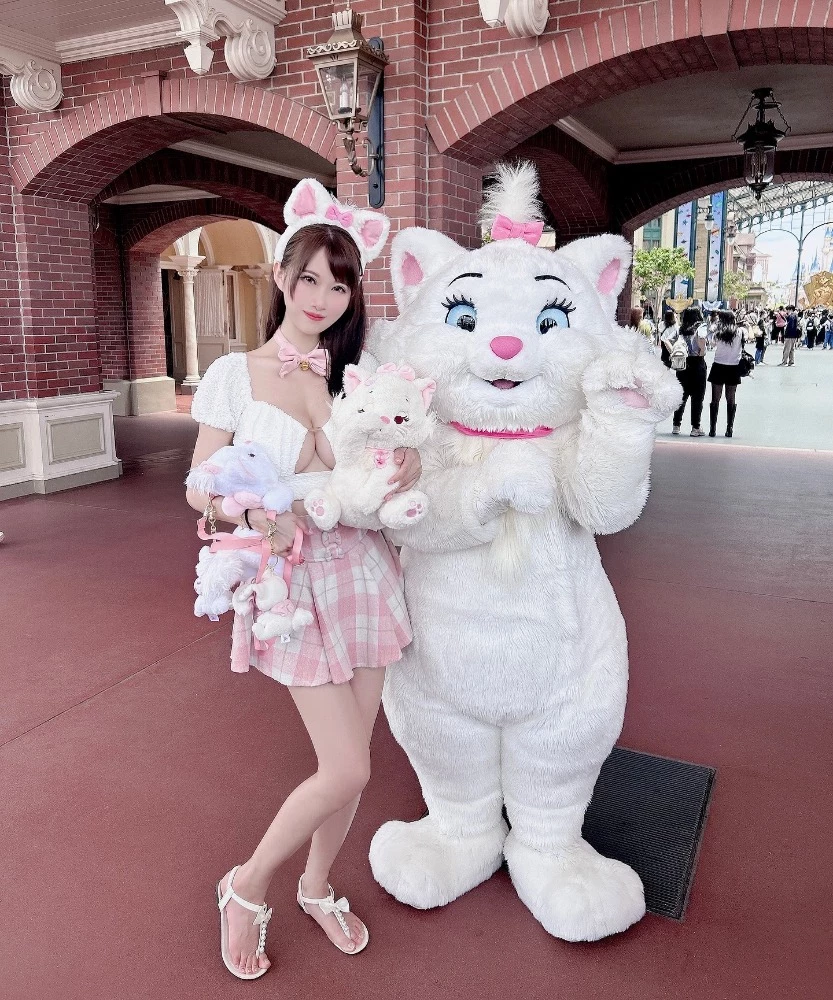 31091497.webp