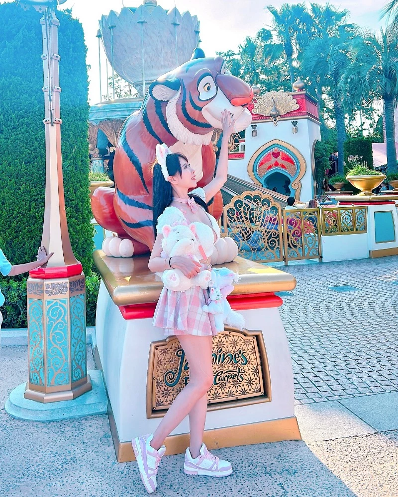 31091503.webp