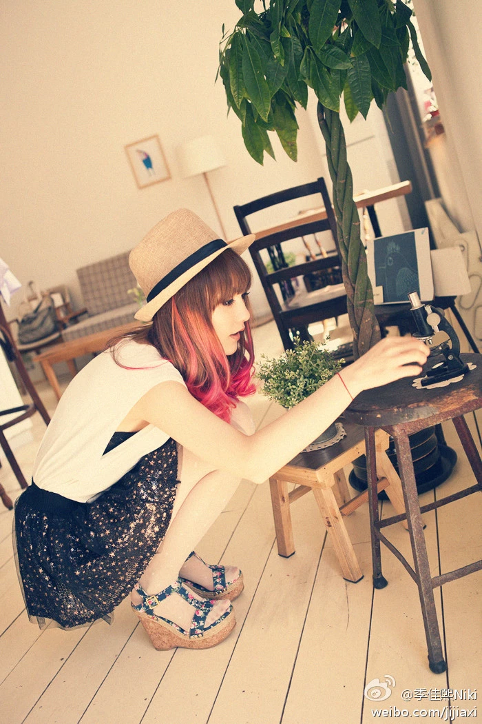 17299320.webp