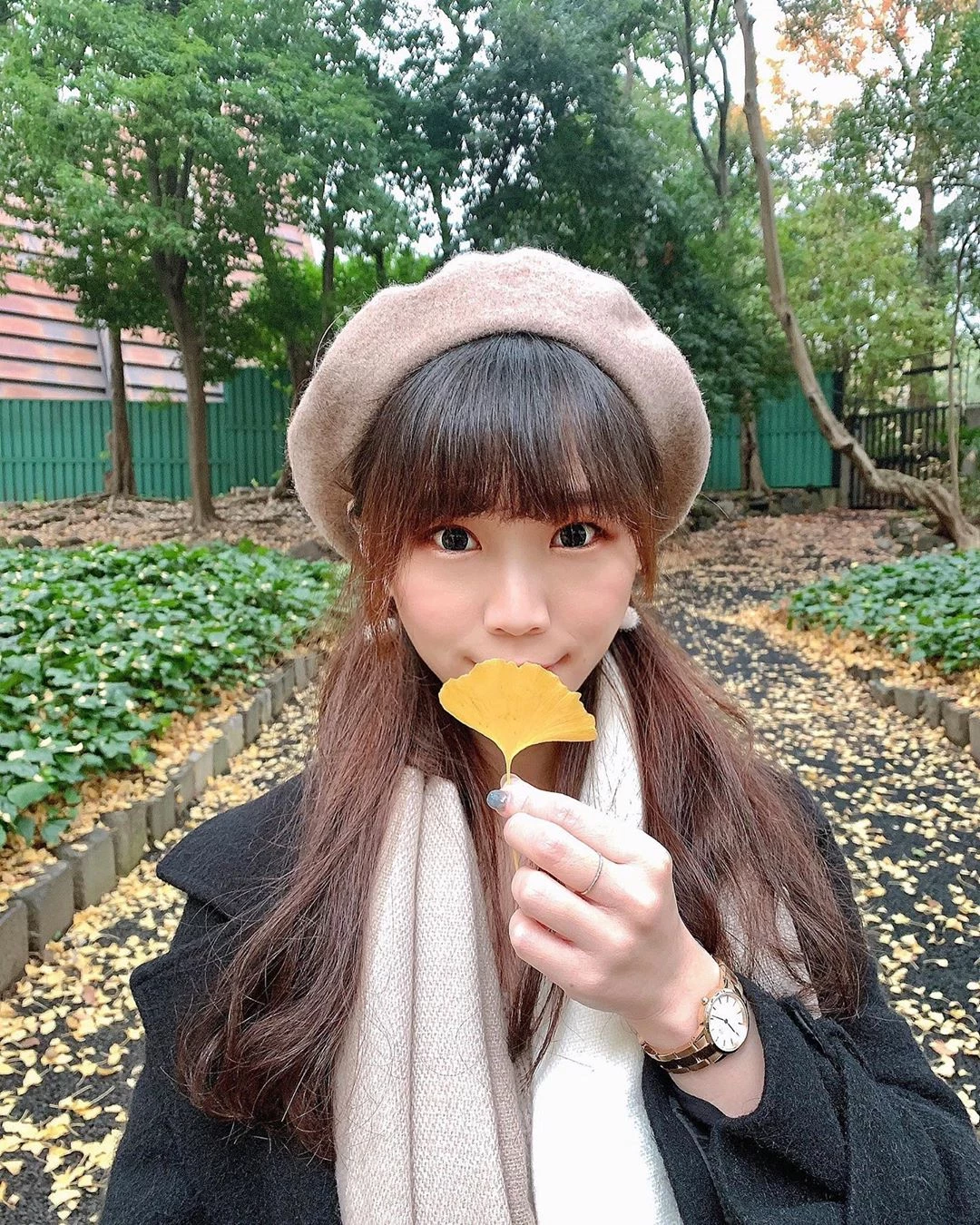 4095016.webp