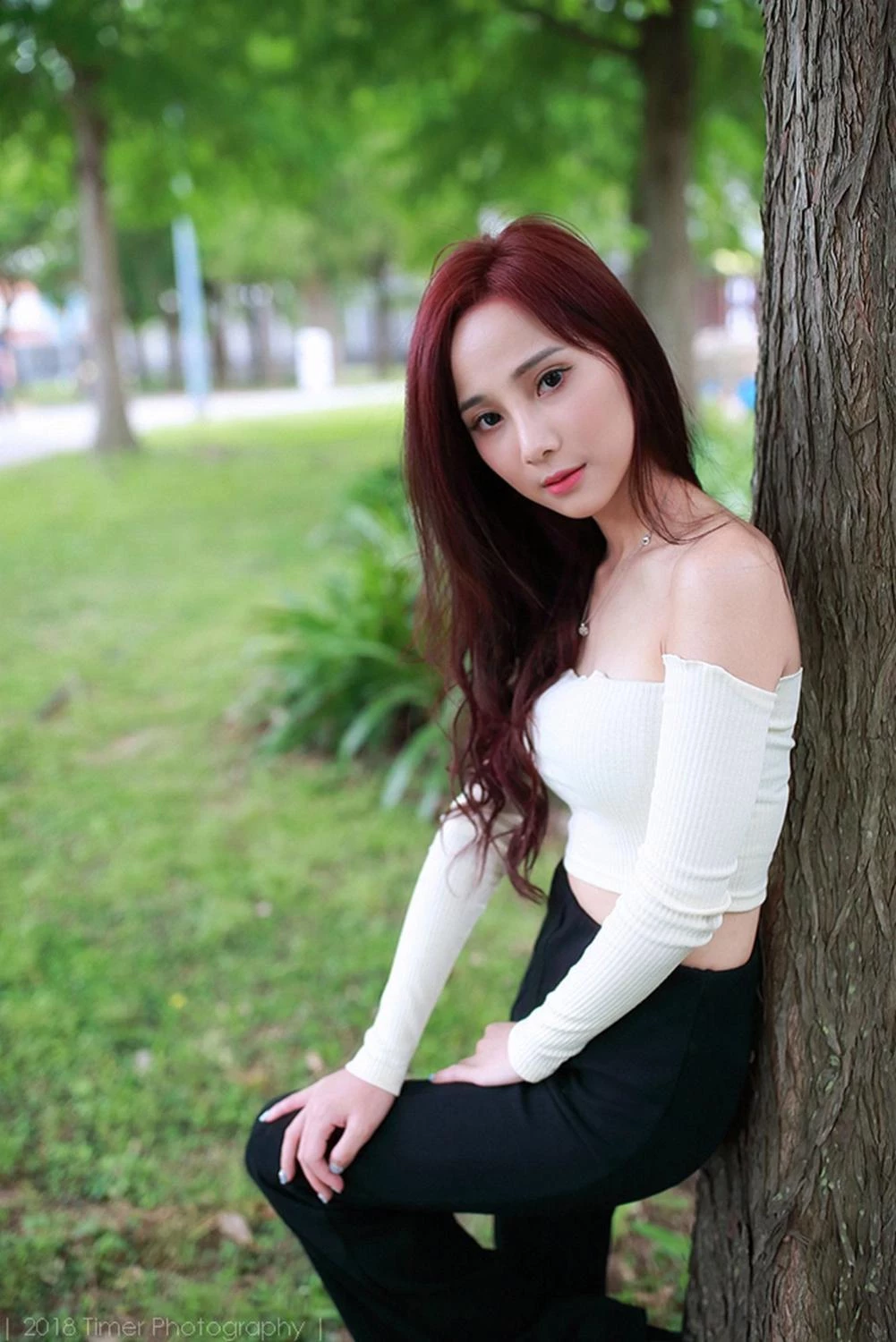 4331178.webp