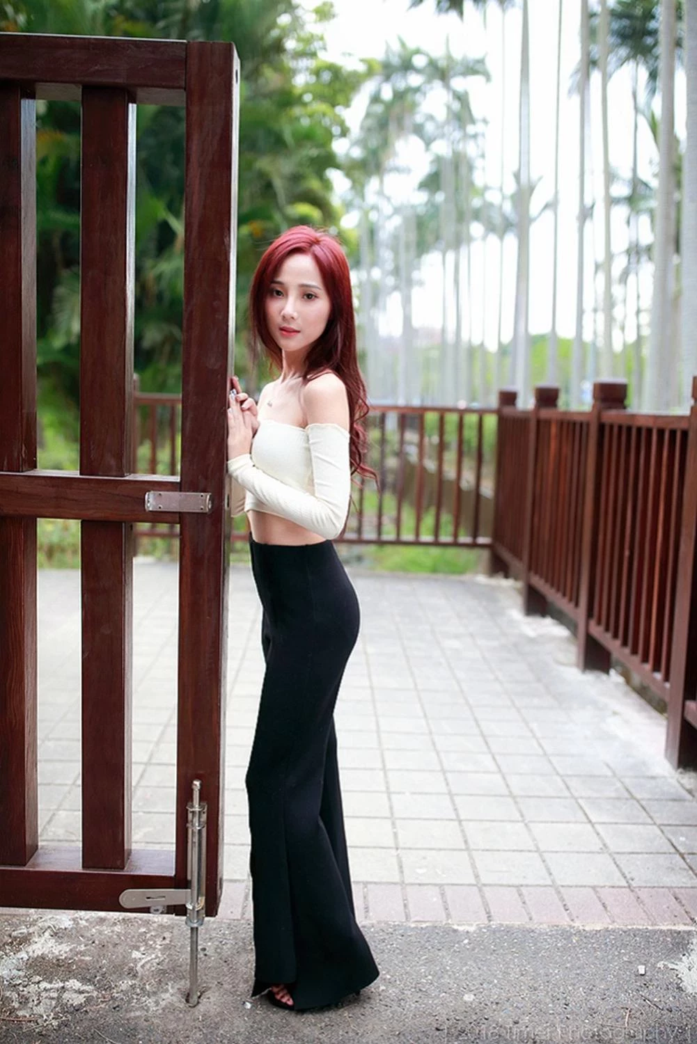 4331182.webp