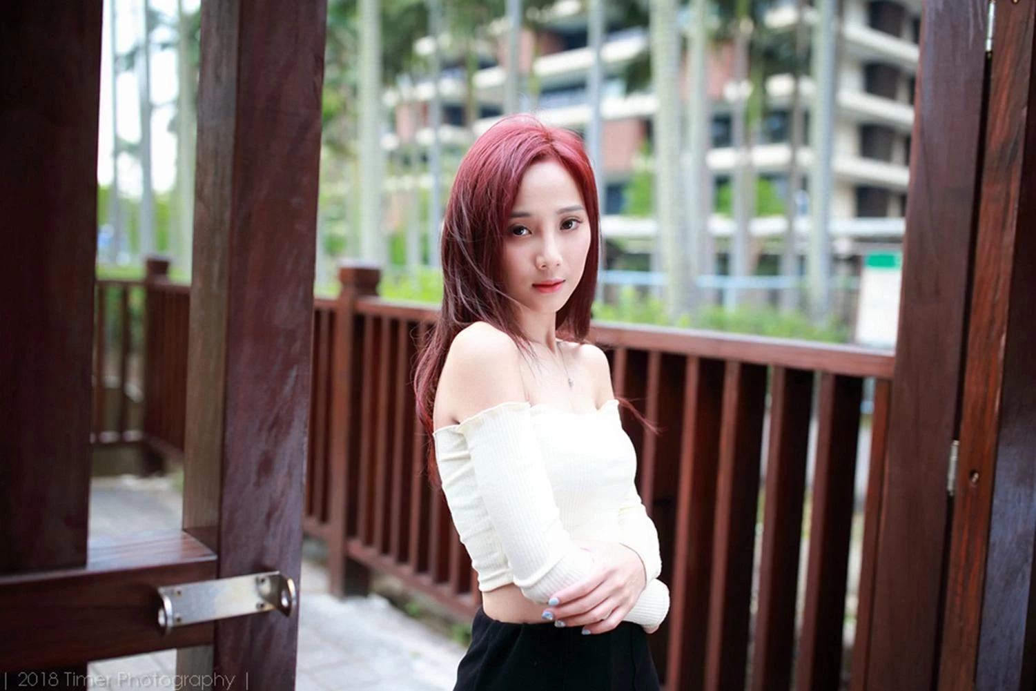 4331185.webp