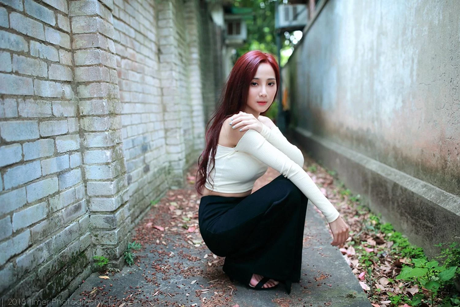 4331203.webp