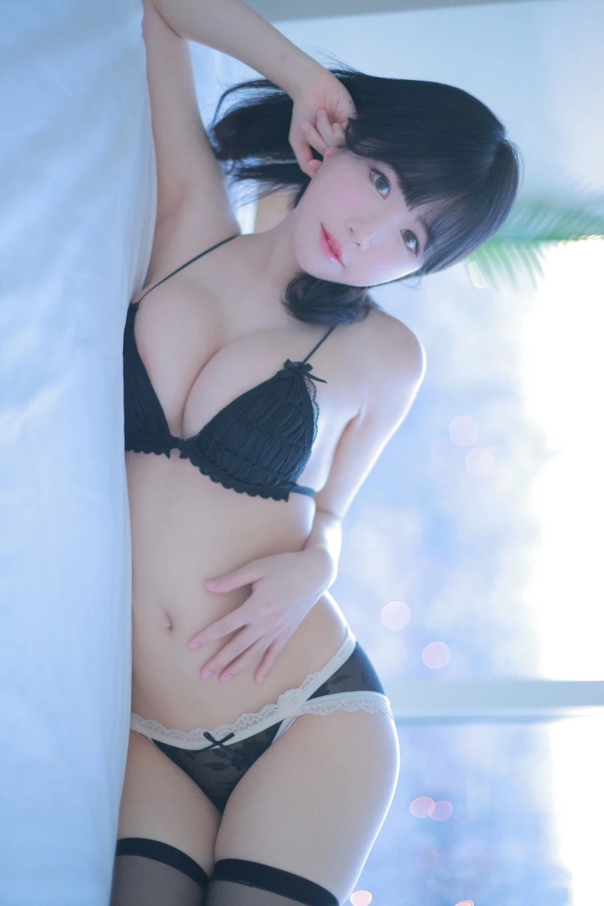 31441093.webp