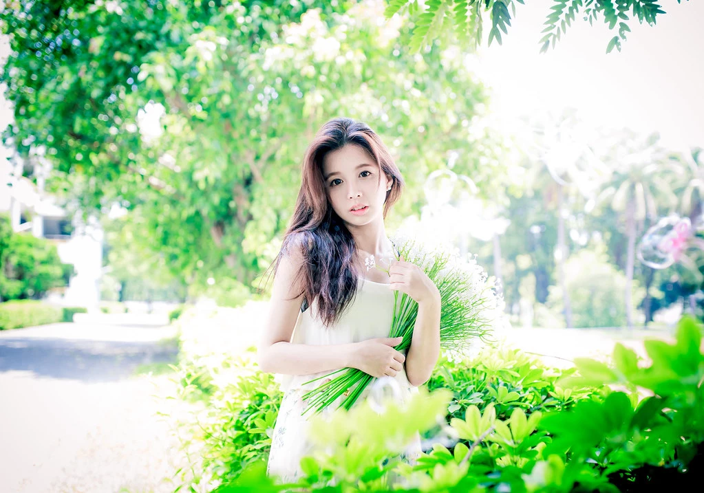 17263769.webp