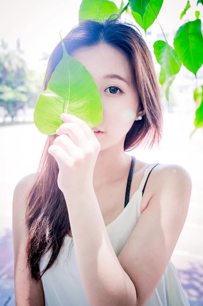 17263778.webp