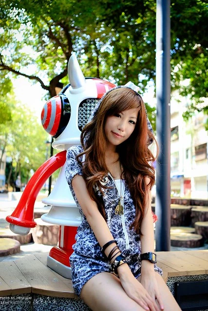 17803727.webp