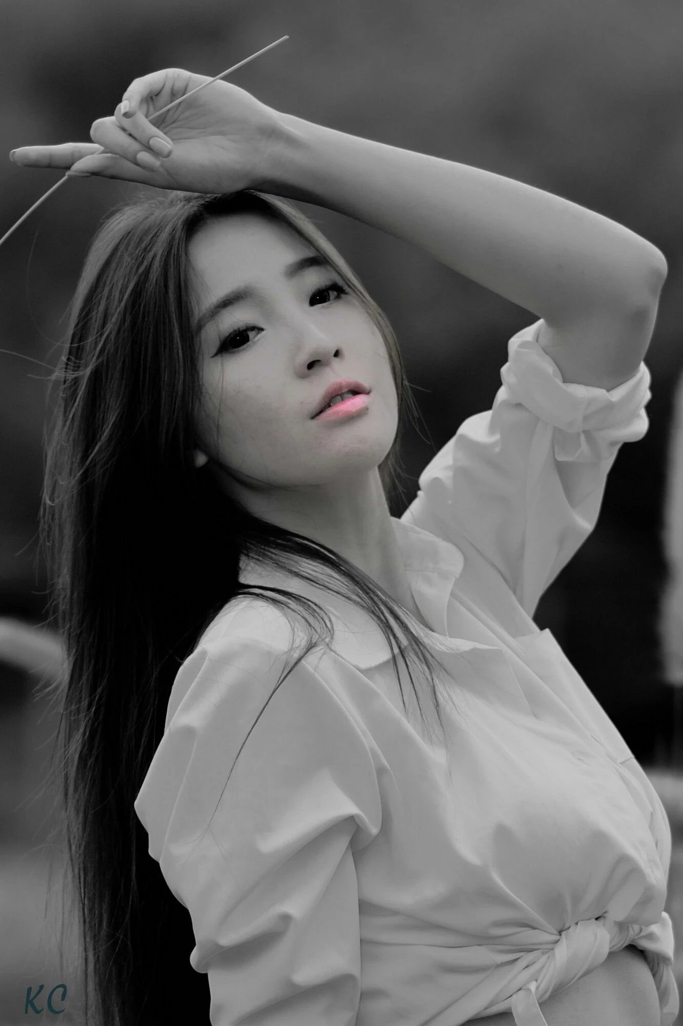 4443993.webp