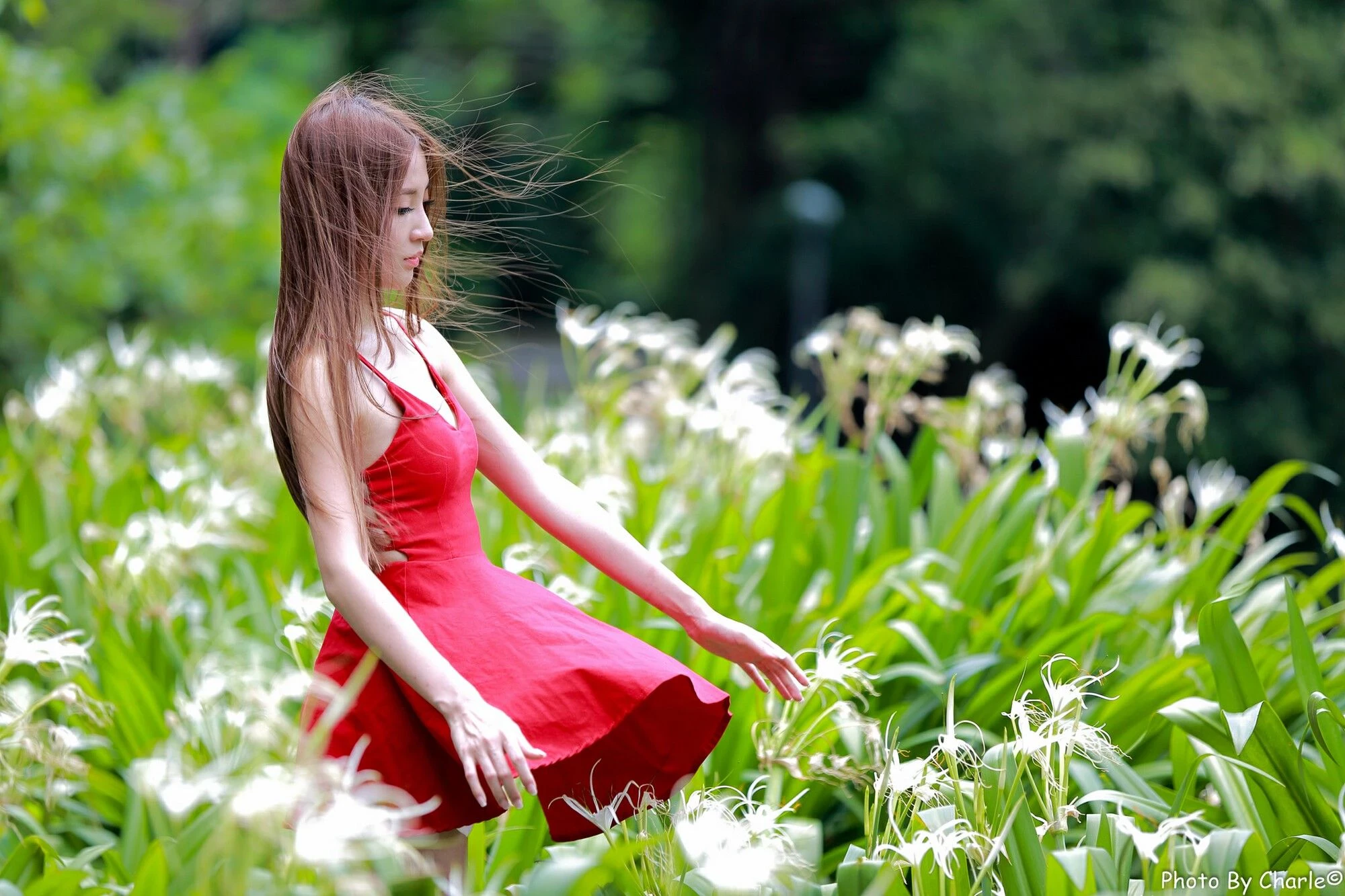 4444152.webp